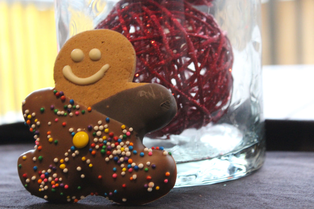 Gingerbread Man Dipped In Chocolate